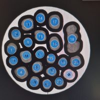 Home protesi fissa (1)