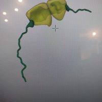 Home protesi fissa (4)